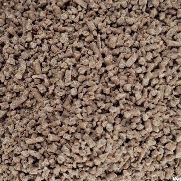 BAT Pro Optic.Wean and Grow