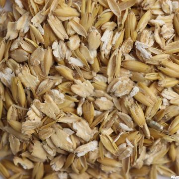 Hafer gequetscht / 25kg