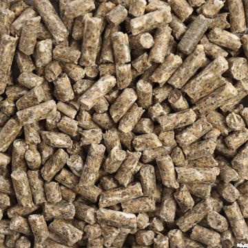 BAT Pro Lämmermast FREE 3,5mm