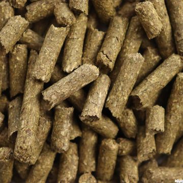 BAT Pro HorseVit Ergänzer gepr