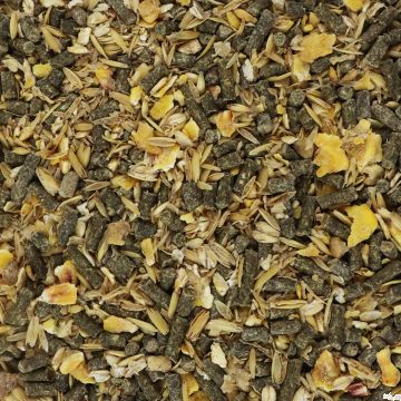 HorseVit Hafer - Mais Müsli gepr