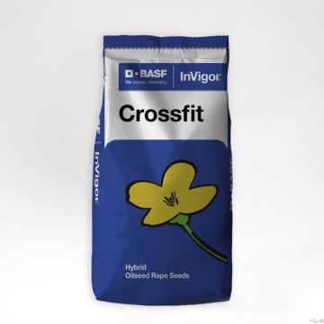 Crossfit