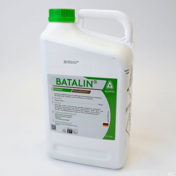 Batalin