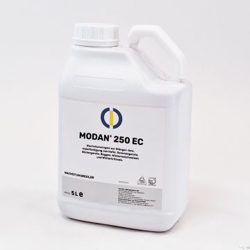 Modan 250 EC