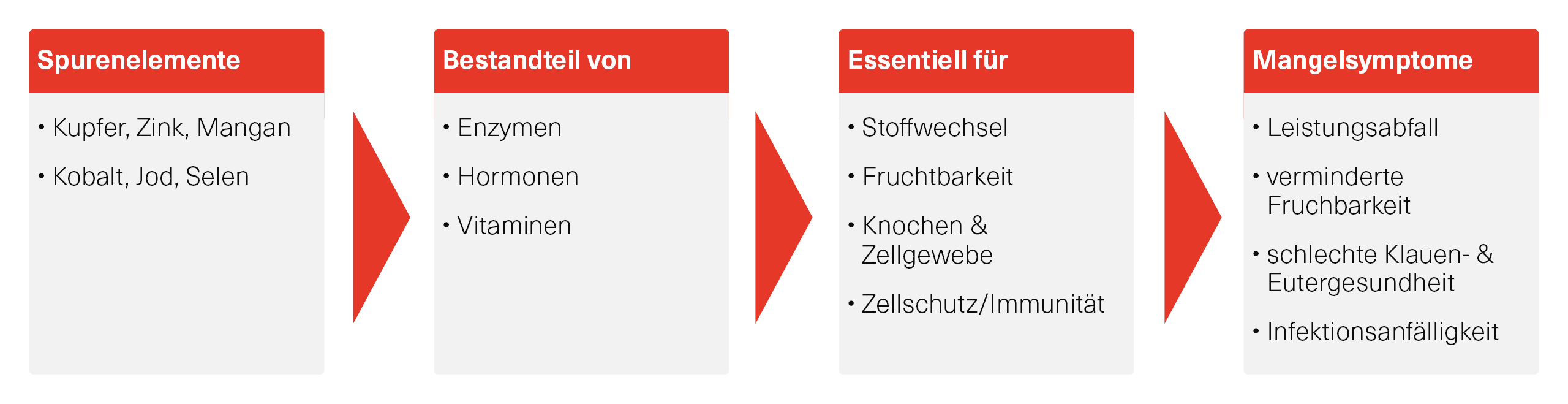 Eine Abbildung darüber, wie wichtig Spurenelemente für Rinder sind